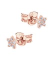 Star Silver Stud Earring STS-6443